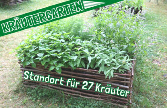 Gartengestaltung - Gartendialog.de
