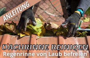 Dachrinnenreinigung durchführen