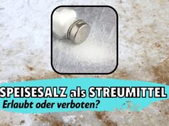 Speisesalz zum Streuen