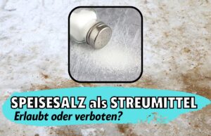 Speisesalz zum Streuen