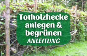 Totholzhecke - Benjeshecke