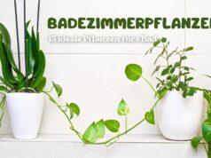 Badezimmer voller Pflanzen