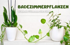 Badezimmer voller Pflanzen