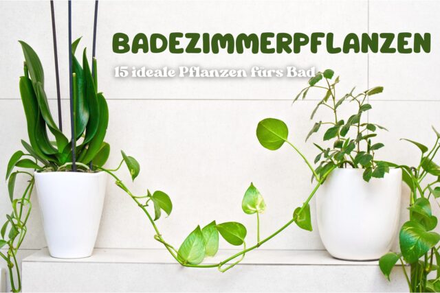 Badezimmer voller Pflanzen