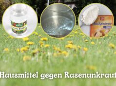 Alle Proviel rasenmäher aufgelistet