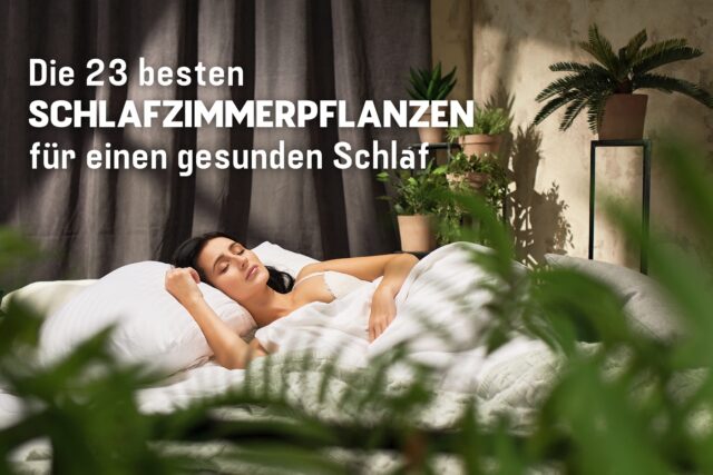 Frau schläft in Schlafzimmer voller Zimmerpflanzen