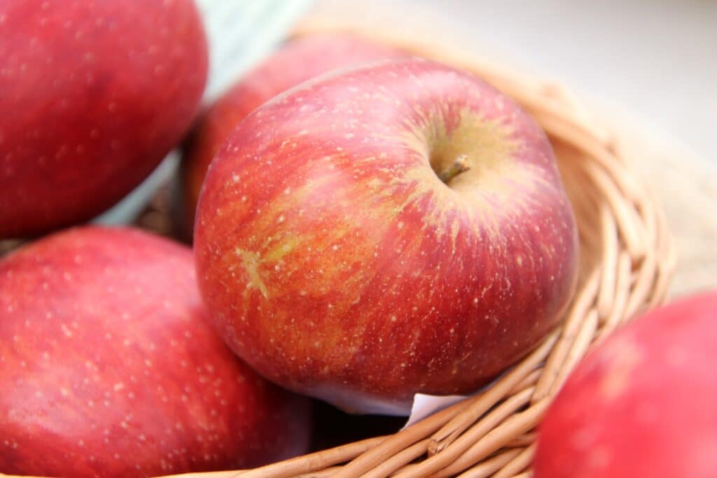 Süßliche Sorte "Roter Eiserapfel"