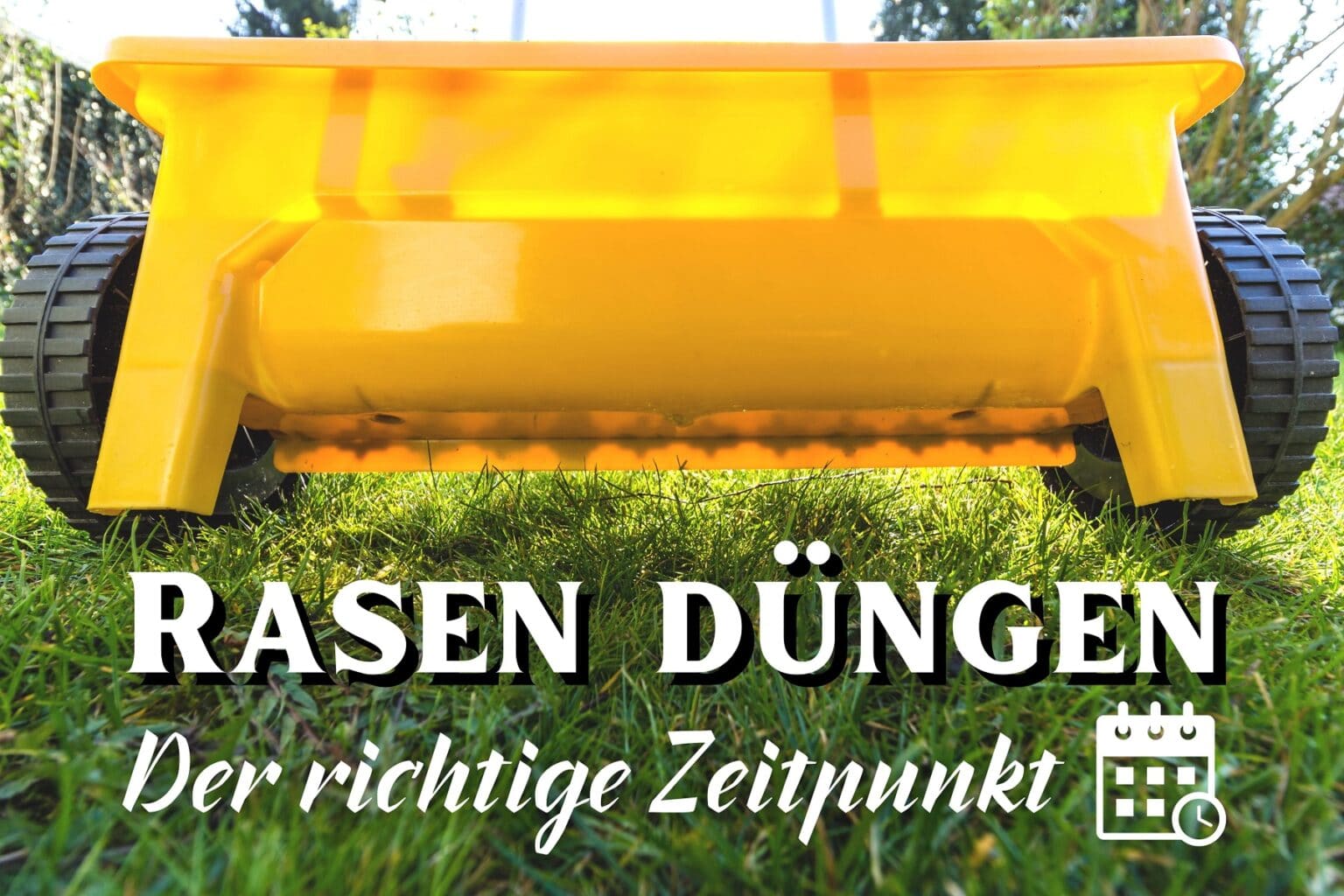 Wann Sollte Man Den Rasen D ngen Der Beste Zeitpunkt Gartendialog de