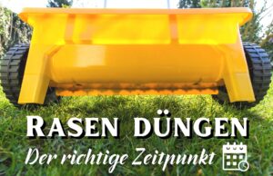 Wagen mit Dünger für Rasen