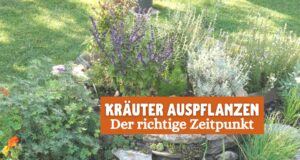 Kräuterspirale