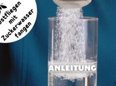 Zuckerwasser als Fruchtfliegenfalle