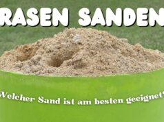 Hirse unkrautvernichter - Die ausgezeichnetesten Hirse unkrautvernichter unter die Lupe genommen