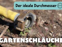 Gartenschlauch auf Erde