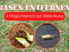 Rasen durch Abdeckung entfernen