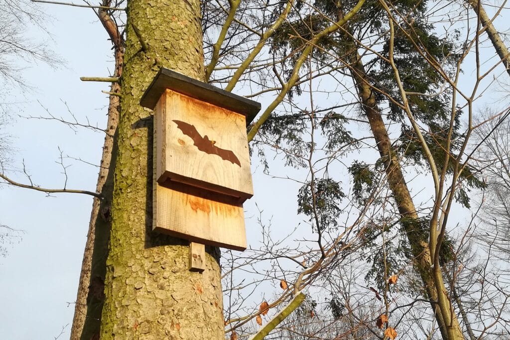 Flachkasten für Waldfledermäuse