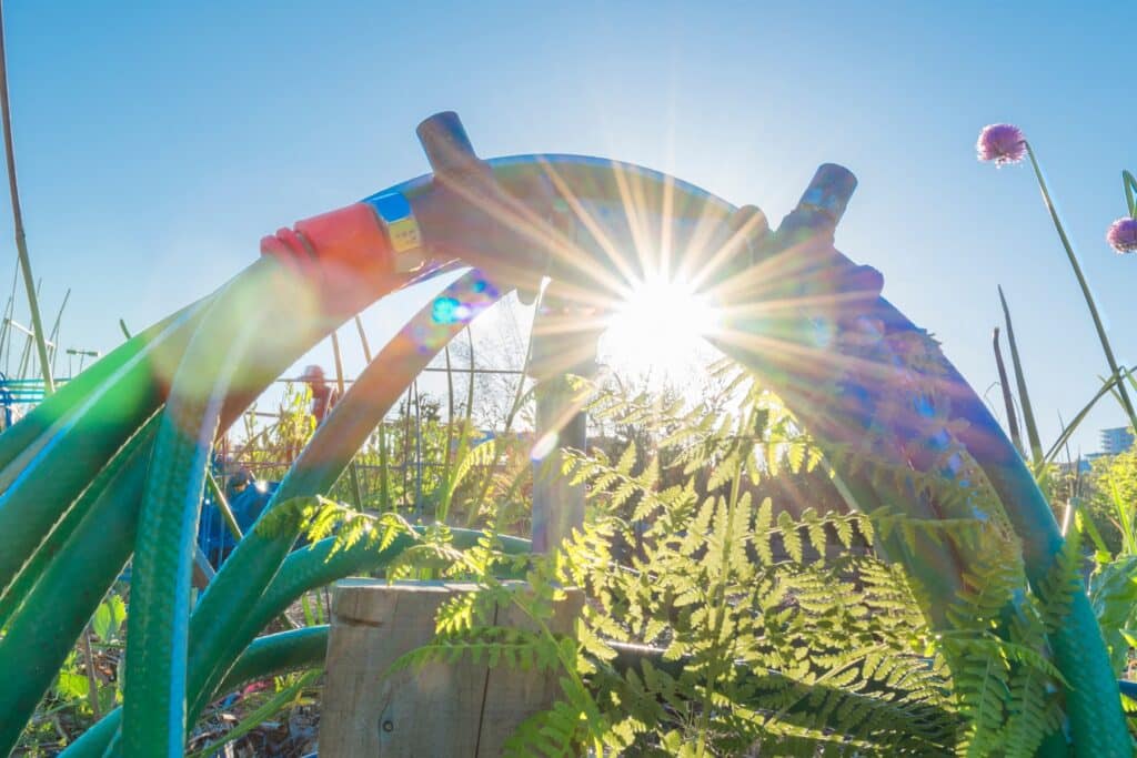 Aufgerollter Gartenschlauch im Sonnenschein