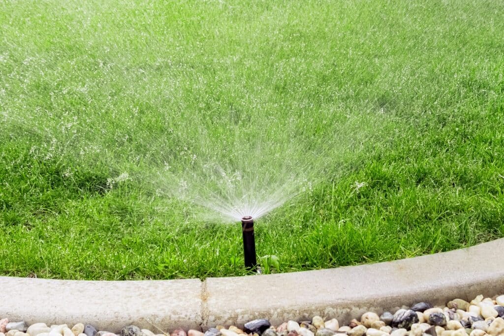 Rasensprinkler wässert auch Steine