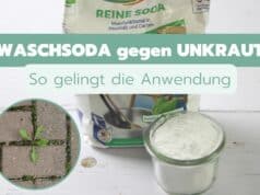 Waschsoda als Unkrautvernichter