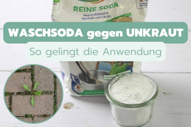 Waschsoda als Unkrautvernichter