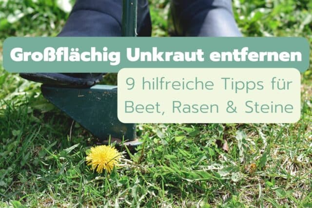 Großflächig Unkraut entfernen