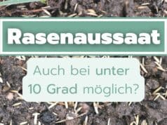 Rasen säen unter zehn Grad