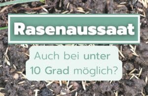 Rasen säen unter zehn Grad