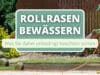 Rollrasen wässern