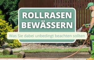 Rollrasen wässern