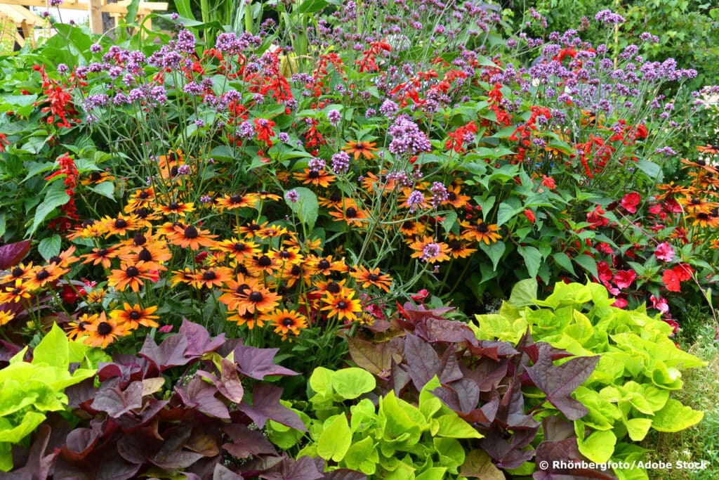 Blumenbeet im Garten